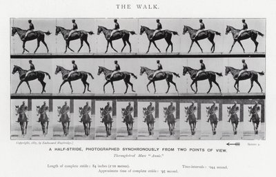 Eadweard Muybridge: The Walk (zdjęcie czarno-białe) autorstwa Eadweard Muybridge