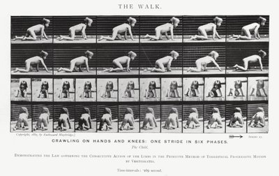 Eadweard Muybridge: The Walk (zdjęcie czarno-białe) autorstwa Eadweard Muybridge