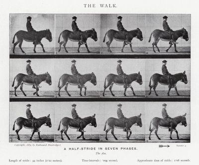 Eadweard Muybridge: The Walk (zdjęcie czarno-białe) autorstwa Eadweard Muybridge