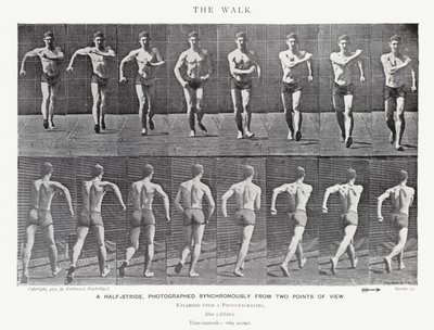 Eadweard Muybridge: The Walk (zdjęcie czarno-białe) autorstwa Eadweard Muybridge