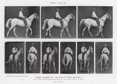 Eadweard Muybridge: The Walk (zdjęcie czarno-białe) autorstwa Eadweard Muybridge