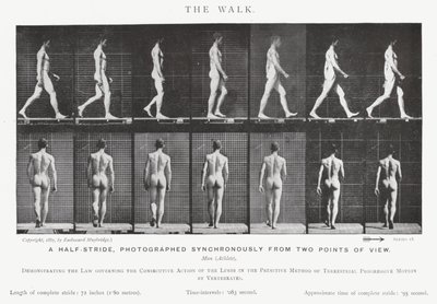 Eadweard Muybridge: The Walk (zdjęcie czarno-białe) autorstwa Eadweard Muybridge