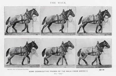 Eadweard Muybridge: The Walk (zdjęcie czarno-białe) autorstwa Eadweard Muybridge