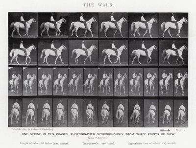 Eadweard Muybridge: The Walk (zdjęcie czarno-białe) autorstwa Eadweard Muybridge