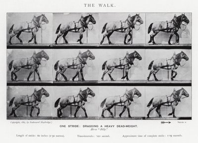Eadweard Muybridge: The Walk autorstwa Eadweard Muybridge