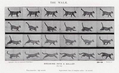 Eadweard Muybridge: The Walk autorstwa Eadweard Muybridge
