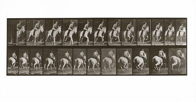 Galopujący koń z jeźdźcem, płyta 635 z Animal Locomotion, 1887 autorstwa Eadweard Muybridge