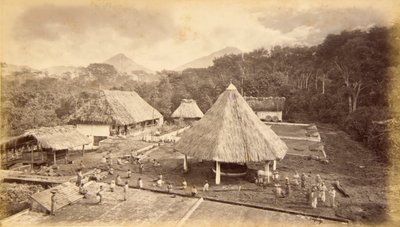 Hacienda William Nelson, San Isidro, Gwatemala autorstwa Eadweard Muybridge