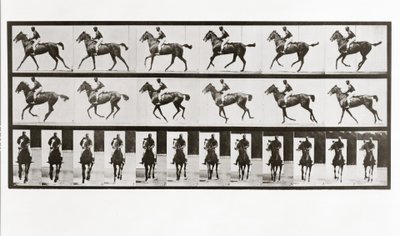 Koń i jeździec, tabliczka 621 z lokomocji zwierzęcej, 1887 autorstwa Eadweard Muybridge