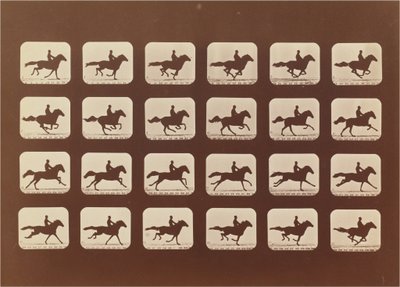 Konie. Działanie. Phyrne L. nr 40 autorstwa Eadweard Muybridge