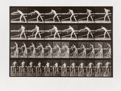 Mężczyzna strugający drewno, płyta 379 z Animal Locomotion, 1887 autorstwa Eadweard Muybridge