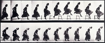 Studium wniosku, ok. 1872-1885 autorstwa Eadweard Muybridge