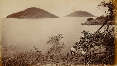 Perico i Flamenco - z wyspy Naos w Panamie autorstwa Eadweard Muybridge