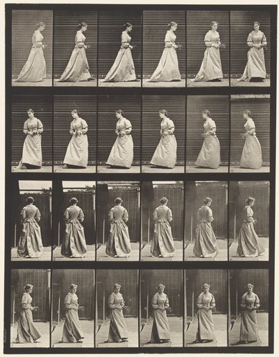Płyta 100. Schody skręcające i wznoszące się, 1885 autorstwa Eadweard Muybridge