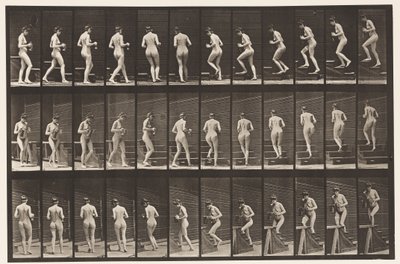 Tablica 103. Schody obrotowe i wznoszące, dzban i kielich w rękach, 1872-1885 autorstwa Eadweard Muybridge