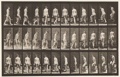 Płyta 104. Schody skręcające i wznoszące się, wiadro wody w każdej ręce, 1872-1885 autorstwa Eadweard Muybridge