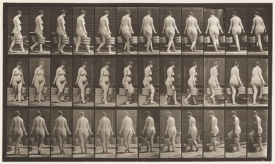 Płyta 106. Zwracając się do schodów wstępujących, wiadro wody w każdej ręce, 1872-1885 autorstwa Eadweard Muybridge