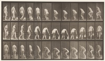 Tabliczka 108. Zwrócenie się w górę schodów, pochylenie się, podniesienie dzbanka, 1872-1885 autorstwa Eadweard Muybridge