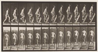 Płyta 109. Drabina wstępująca, 1872-1885 autorstwa Eadweard Muybridge