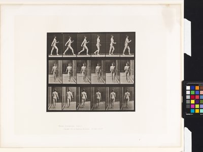 Płyta 10.Chodzenie autorstwa Eadweard Muybridge