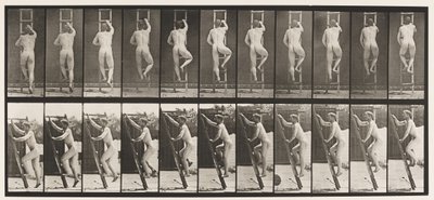 Płyta 111. Drabina wstępująca autorstwa Eadweard Muybridge