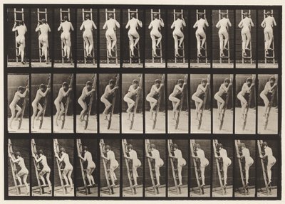 Płyta 112. Drabina wstępująca autorstwa Eadweard Muybridge
