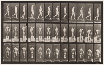 Płyta 114. Nachylenie malejące, kąt 1 w 4, 1872-1885 autorstwa Eadweard Muybridge