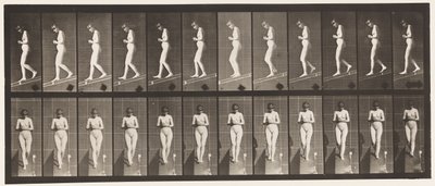 Płyta 115. Opadająca pochylnia z rękami splecionymi z przodu autorstwa Eadweard Muybridge