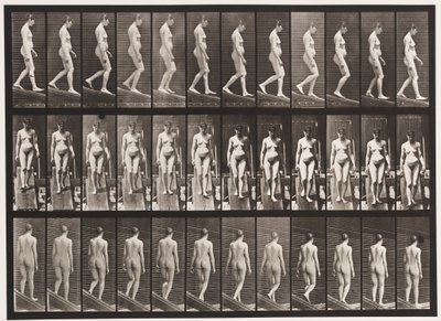Płyta 117. Opadająca pochylnia, 1872-1885 autorstwa Eadweard Muybridge