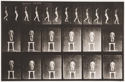 Płyta 118. Opadające nachylenie autorstwa Eadweard Muybridge