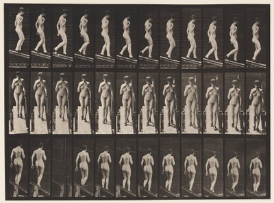 Płyta 119. Opadające nachylenie, prawa ręka na piersi (buty) autorstwa Eadweard Muybridge