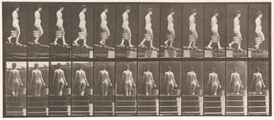 Płyta 120. Opadająca pochylnia, wiadro z wodą w prawej ręce, 1872-1885 autorstwa Eadweard Muybridge