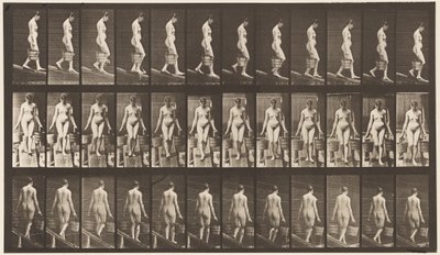 Płyta 121. Opadające nachylenie, wiadro wody w każdej ręce autorstwa Eadweard Muybridge