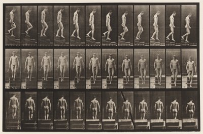 Płyta 125. Schody schodzące autorstwa Eadweard Muybridge