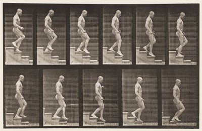Płyta 126. Schody schodzące autorstwa Eadweard Muybridge