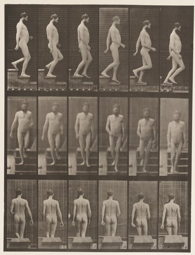 Tablica 127. Schody schodzące, 1872-1885 autorstwa Eadweard Muybridge