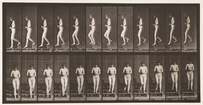 Talerz 128. Schody schodzące, ręce splecione, 1872-1885 autorstwa Eadweard Muybridge