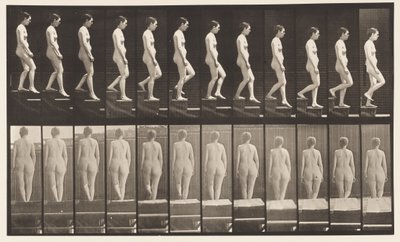 Płyta 129. Schody schodzące ze splecionymi rękami autorstwa Eadweard Muybridge