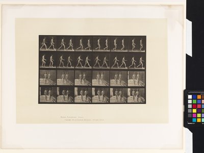 Płyta 12.Chodzenie autorstwa Eadweard Muybridge
