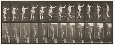 Płyta 132. Zstępujące schody, odwracając się, by się rozejrzeć i machając ręką autorstwa Eadweard Muybridge