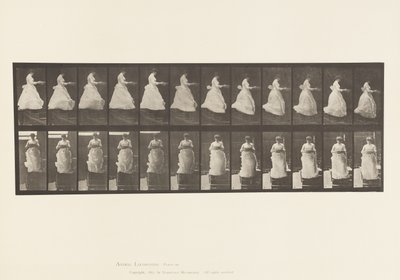 Płyta 134. Schody schodzące z umywalką w rękach autorstwa Eadweard Muybridge