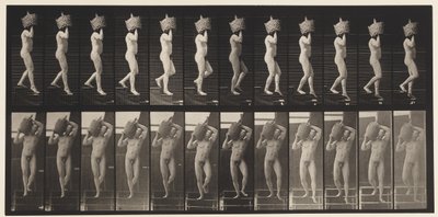Tablica 136. Schody schodzące Pełny gąsior na ramieniu, 1872-1885 autorstwa Eadweard Muybridge