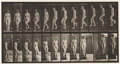Płyta 137. Zstępujące schody, zawracanie autorstwa Eadweard Muybridge