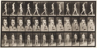 Płyta 13. Spacery, 1872-1885 autorstwa Eadweard Muybridge