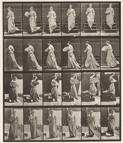 Płyta 141. Zstępujące schody i flirtujący wachlarz autorstwa Eadweard Muybridge