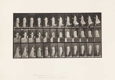 Płyta 143. Opadająca pochylnia, obracająca się filiżanka i spodek w prawej ręce autorstwa Eadweard Muybridge