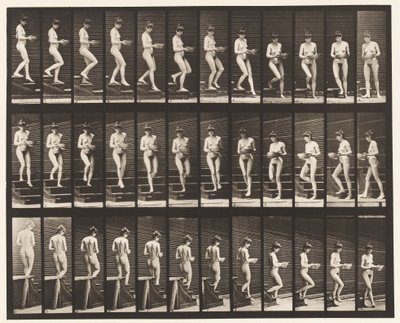 Płyta 144. Schody zstępujące; Obracanie umywalki w rękach autorstwa Eadweard Muybridge
