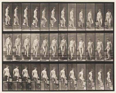 Płyta 145. Schody schodzące; Obracanie wiadra wody w prawej ręce, 1872-1885 autorstwa Eadweard Muybridge