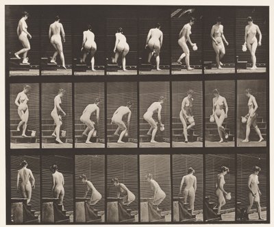 Płyta 150. Schody schodzące; Pochylanie się, podnoszenie dzbanka, obracanie, 1872-1885 autorstwa Eadweard Muybridge