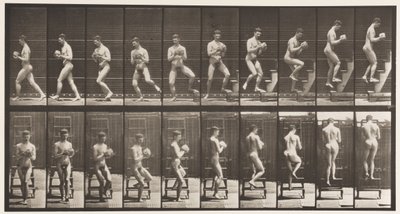 Płyta 151. Drabina schodząca, zawracanie, kamień w dłoniach, 1872-1885 autorstwa Eadweard Muybridge
